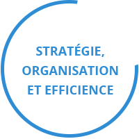 Stratégie, Organisation et Efficience